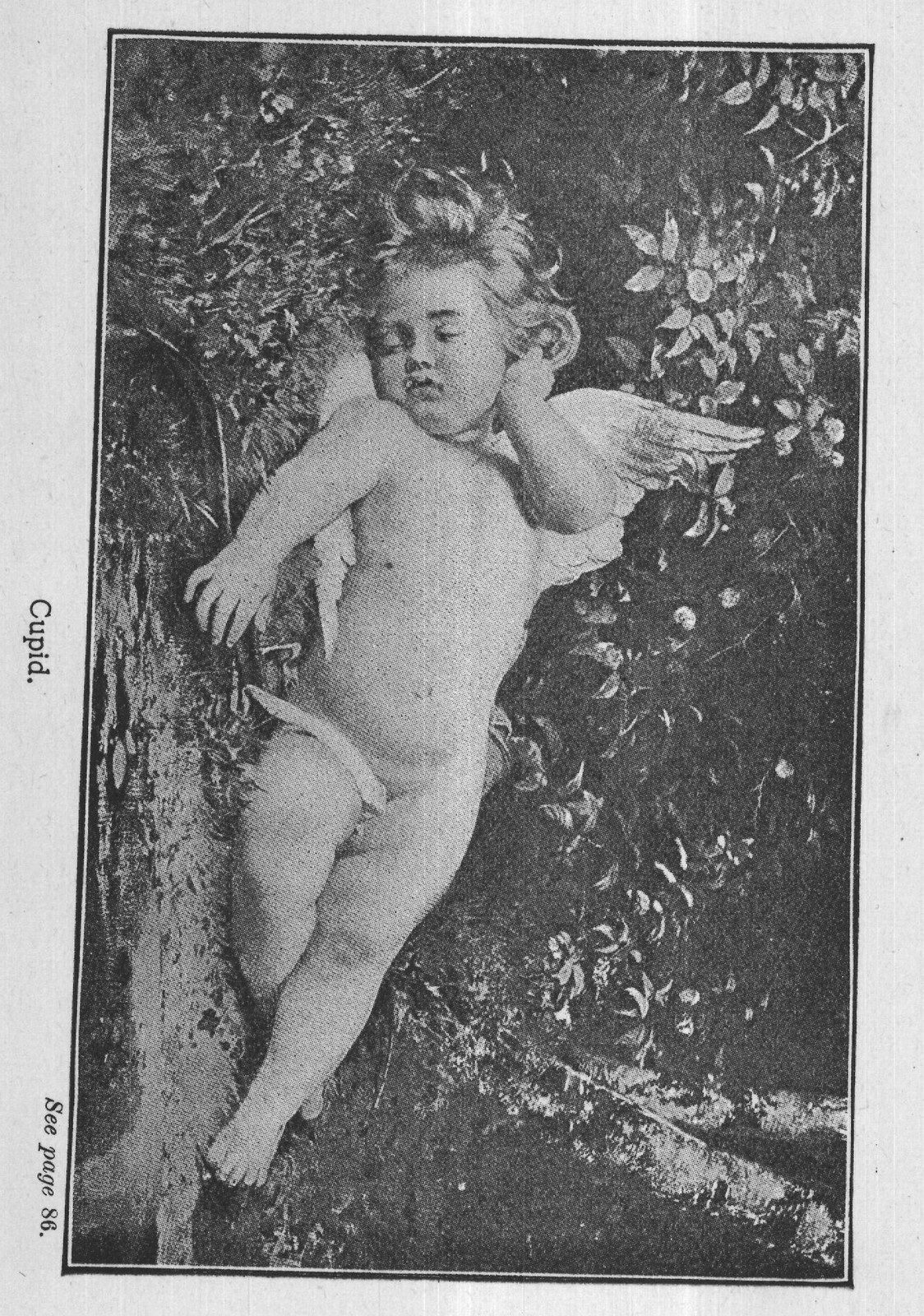 Fulvia — from 1000 Classical Characters Briefly Described (1901)