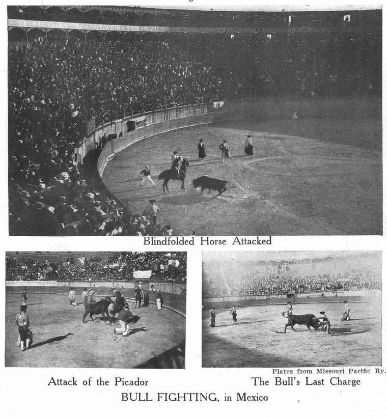 Attack of the Picador. the Bull's Last Charge. Bull fighting in Mexico