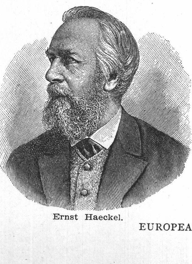 Ernst Haeckel. Europe scientists
