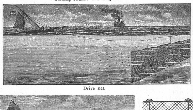Drive net. Fishing nets