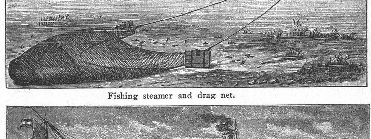 Fishery