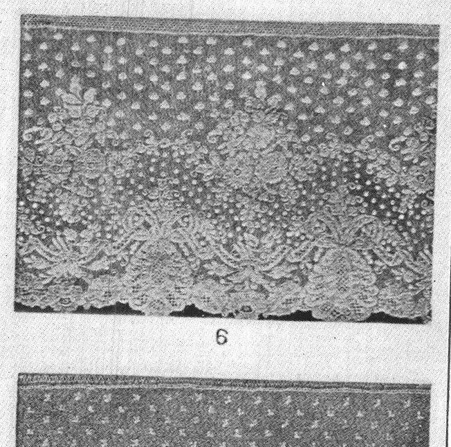 Lace