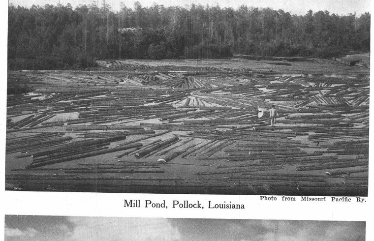 Mill Pond, Pollock, Louisiana. Lumbering scenes