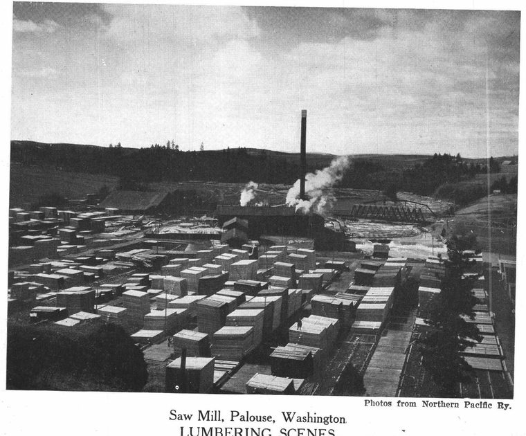 Saw Mill, Palouse, Washington. Lumbering scenes