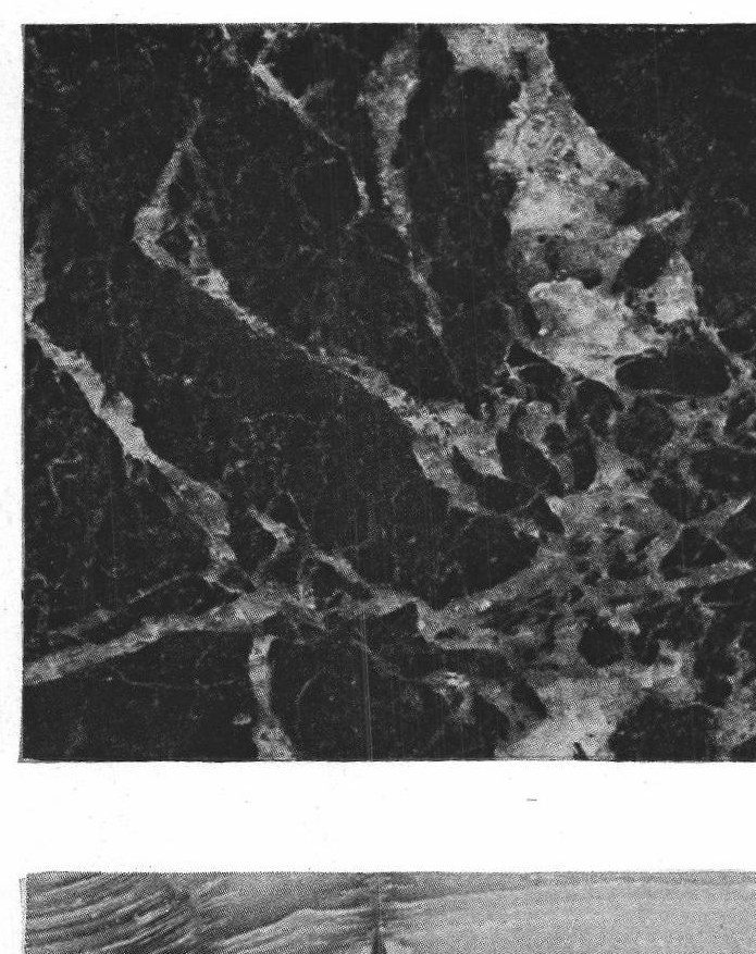 Marble