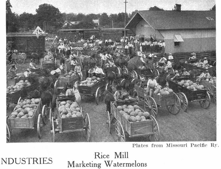 Rice Mill. Marketing Watermelons. Louisiana industries
