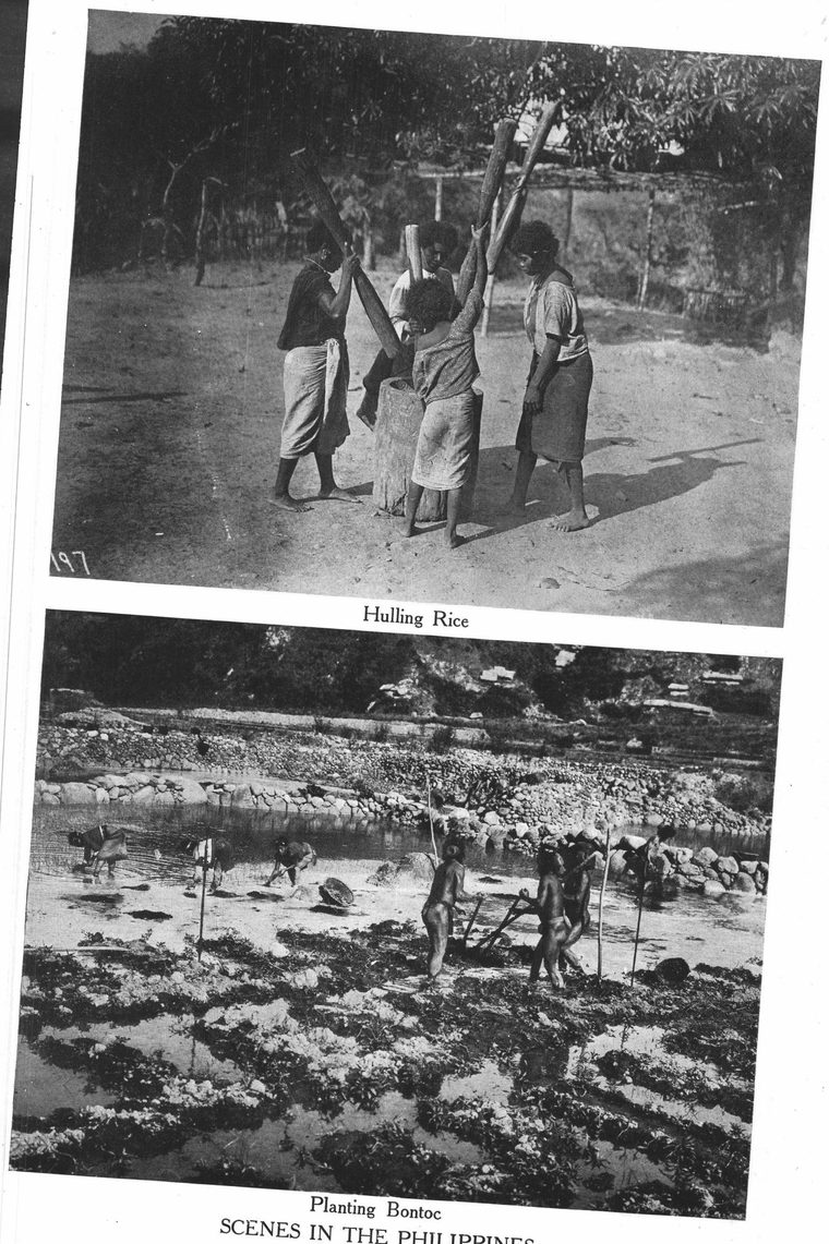 Planting Bontoc. Scenes in the Philippines