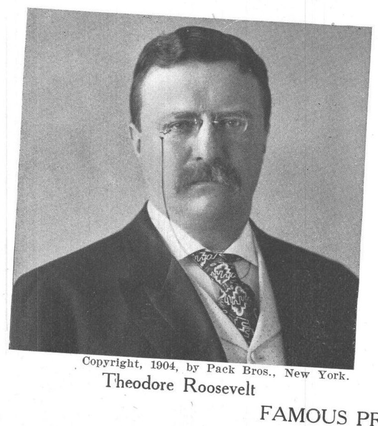 Theodore Roosevelt. Famous presidents
