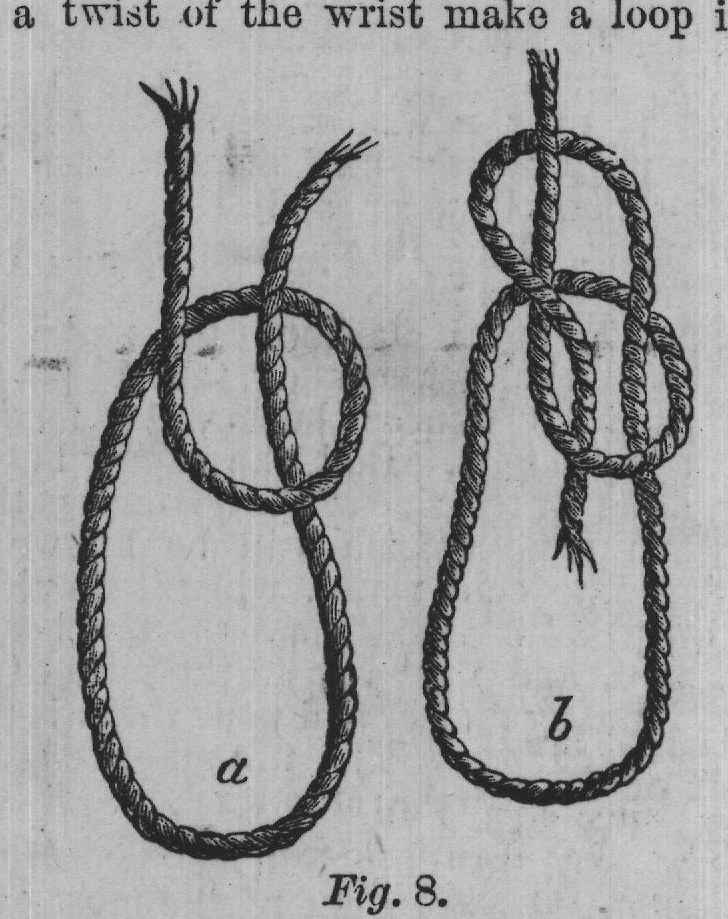 Fig. 8.