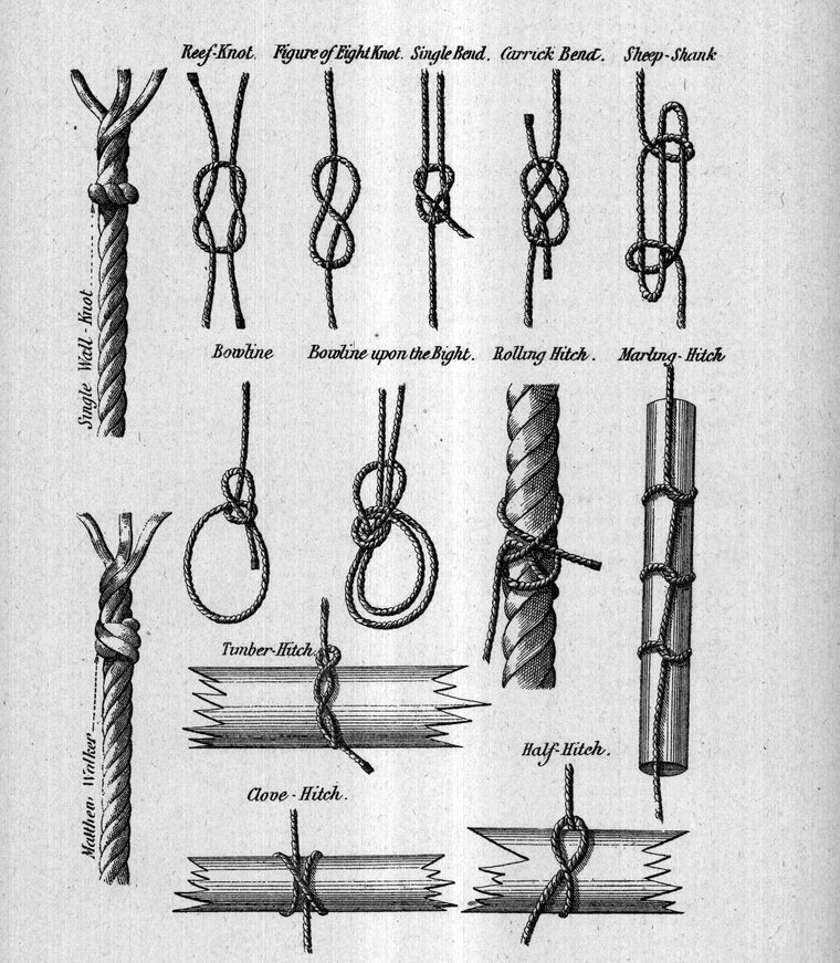 Knots — reef knot, figure-of-eight, single bend, carrick bend, sheep-shank, bowline, bowline upon the bight, rolling hitch, marling hitch, timber hitch, clove hitch and half-hitch