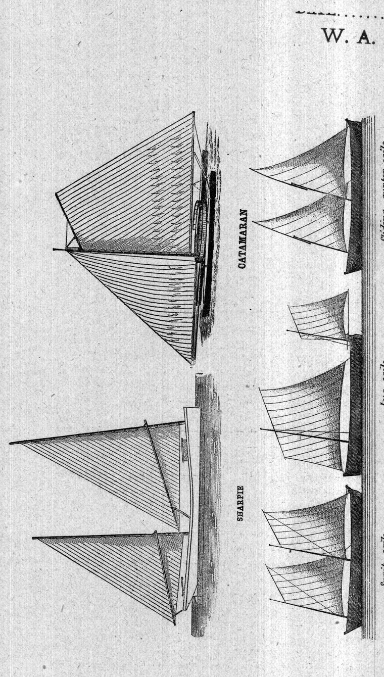 Catamaran and sharpie under sail