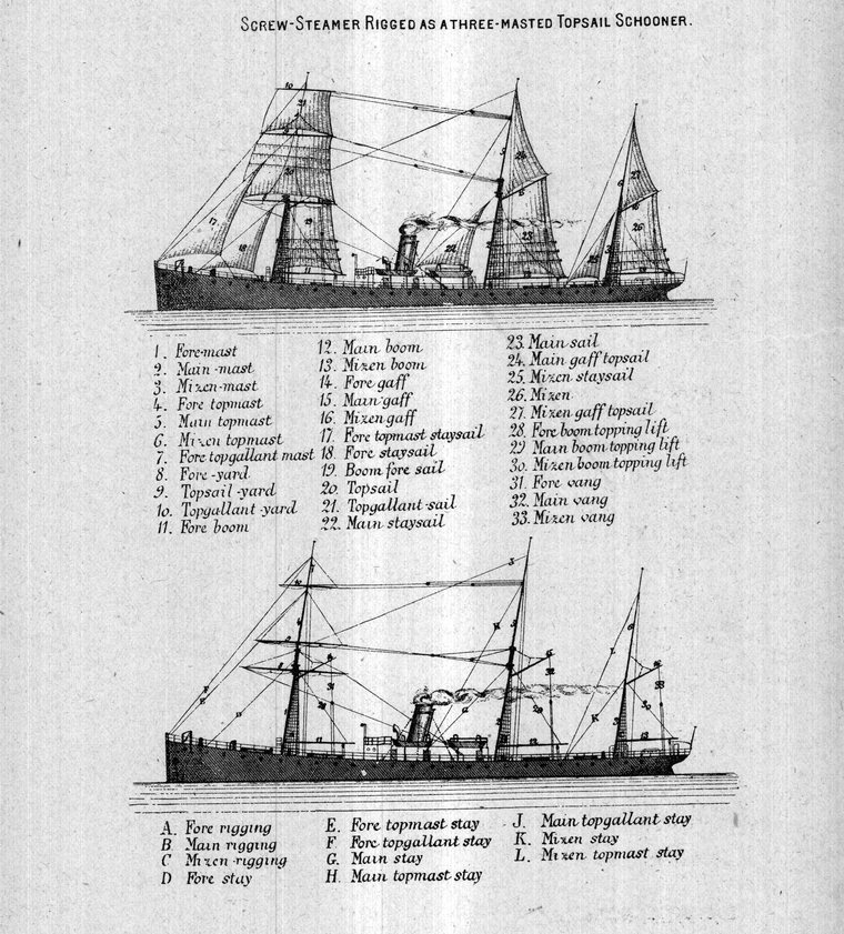 Screw-steamer rigged as a three-masted topsail schooner