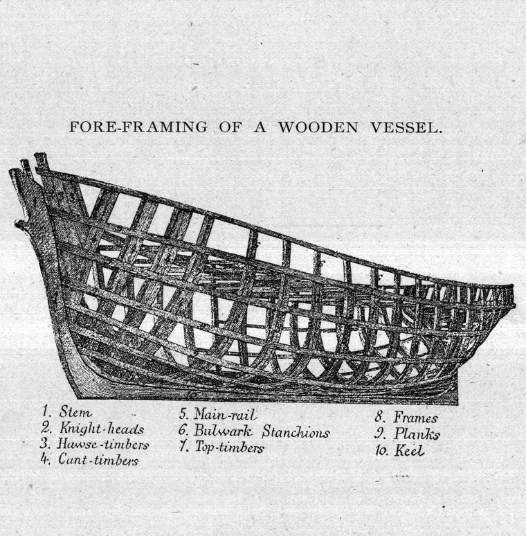 Fore-framing of a wooden vessel — stem, knight-heads, hawse-timbers, cant-timbers, frames and keel