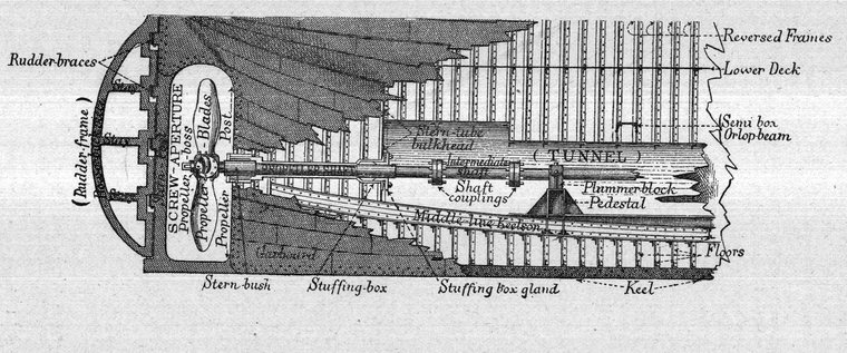 The screw aperture, propeller and stern tube